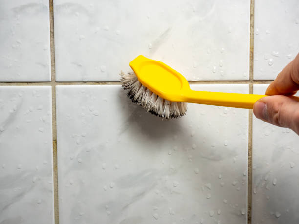 Best Post-Flood Mold Remediation in Muniz, TX