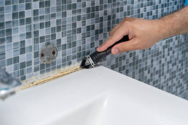 Best Mold Remediation for Schools in Muniz, TX